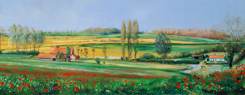 Poppy Field and Poplars  à Timothy  Easton