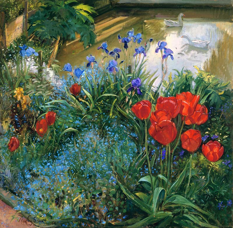 Red Tulips and Geese (oil on canvas)  à Timothy  Easton