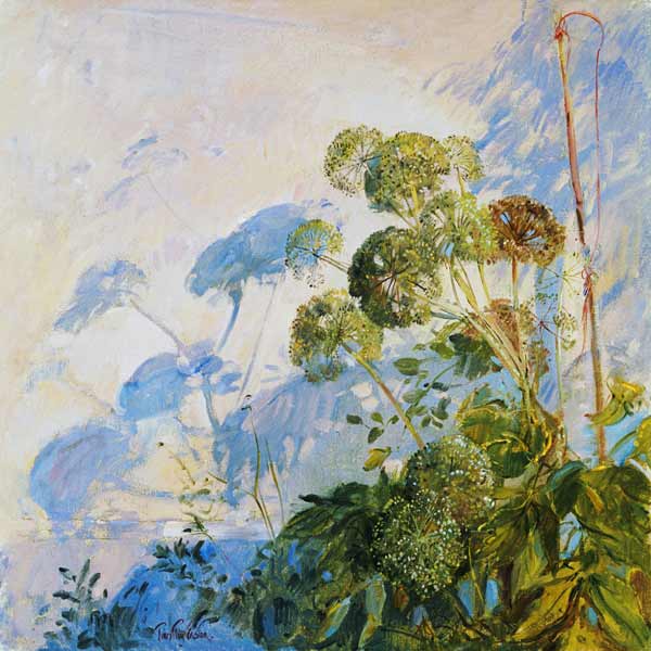 Angelica Shadows (oil on canvas)  à Timothy  Easton