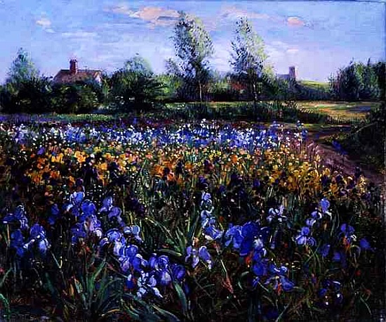 Blue and White, Irises Under an Evening Sky à Timothy  Easton