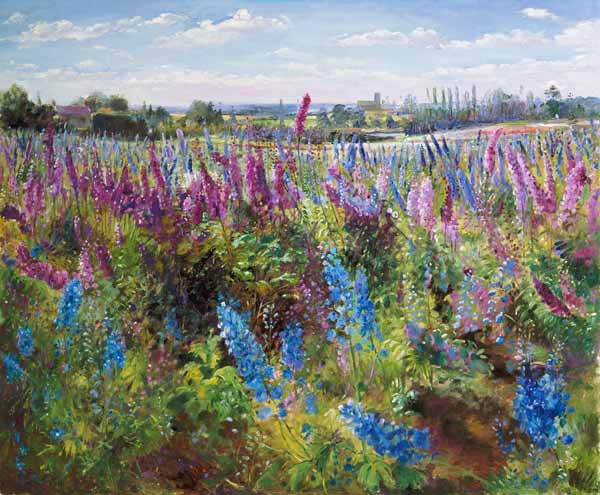 Delphinium Field and Church  à Timothy  Easton