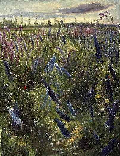 Delphiniums and Emerging Sun à Timothy  Easton