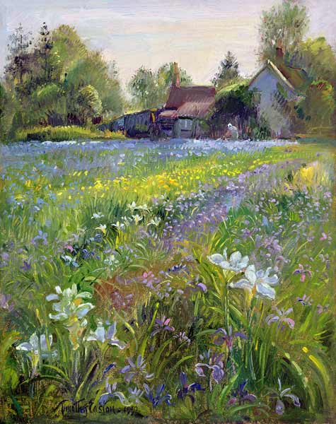 Dwarf Irises and Cottage, 1993  à Timothy  Easton