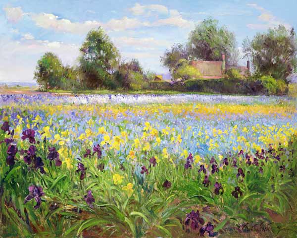 Farmstead and Iris Field, 1992  à Timothy  Easton