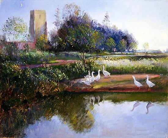 Geese at Sundown, 1991  à Timothy  Easton