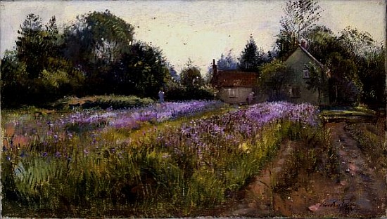 Iris Field and the Old Chapel, Burgate, 1994  à Timothy  Easton