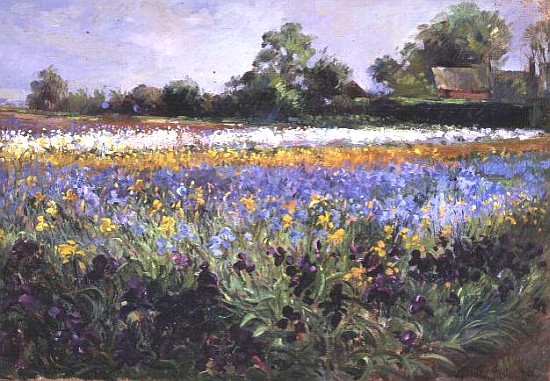 Iris Field and Two Cottages  à Timothy  Easton