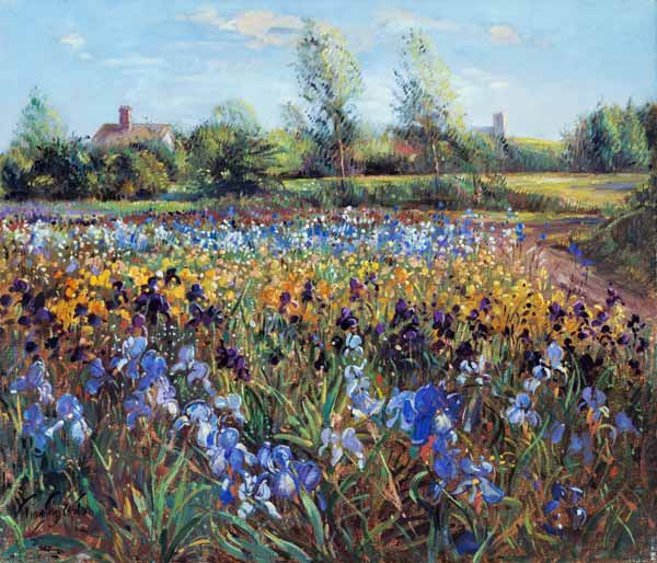 Irises and Burgate Green (oil on canvas)  à Timothy  Easton
