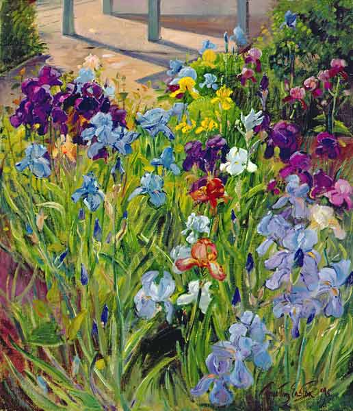 Irises and Summer House Shadows, 1996 (oil on canvas)  à Timothy  Easton