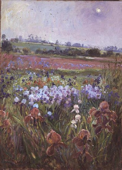 Irises and Emerging Sun à Timothy  Easton