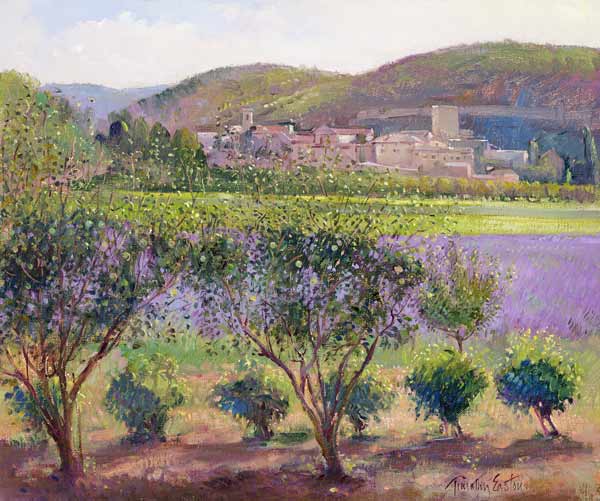 Lavender Seen Through Quince Trees, Monclus (oil on canvas)  à Timothy  Easton