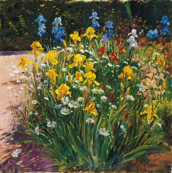 Oxeye Daisies Against the Irises (oil on canvas)  à Timothy  Easton