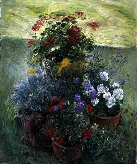 Shaded Pots (oil on canvas)  à Timothy  Easton