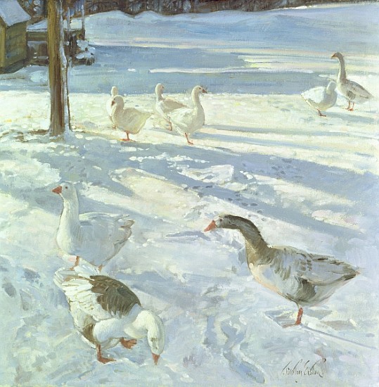 Snowfeeders, 1999 (oil on canvas)  à Timothy  Easton