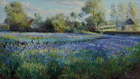 Dappled Light on the Iris Field, 1991 