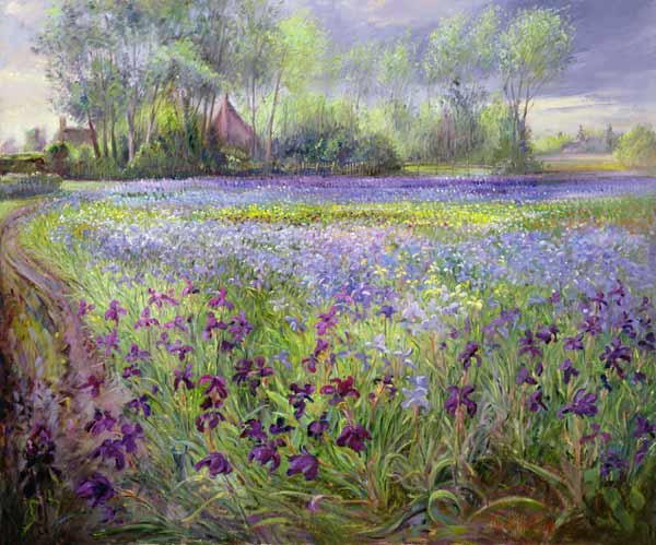 Trackway past the Iris Field, 1991  à Timothy  Easton