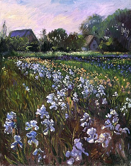 White Irises and Farmstead, 1992  à Timothy  Easton