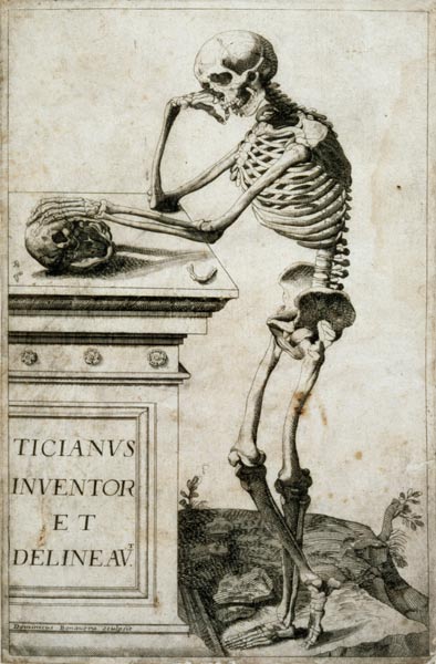 Anatomical study à Le Titien (alias Tiziano Vecellio)