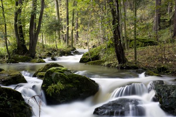 Wilder Fluss in einem Tal à Tobias Ott