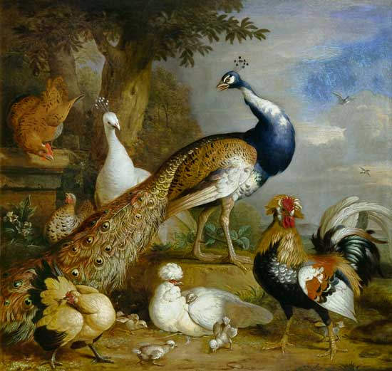 Peacock, Peahen and Poultry in a Landscape à Tobias Stranover