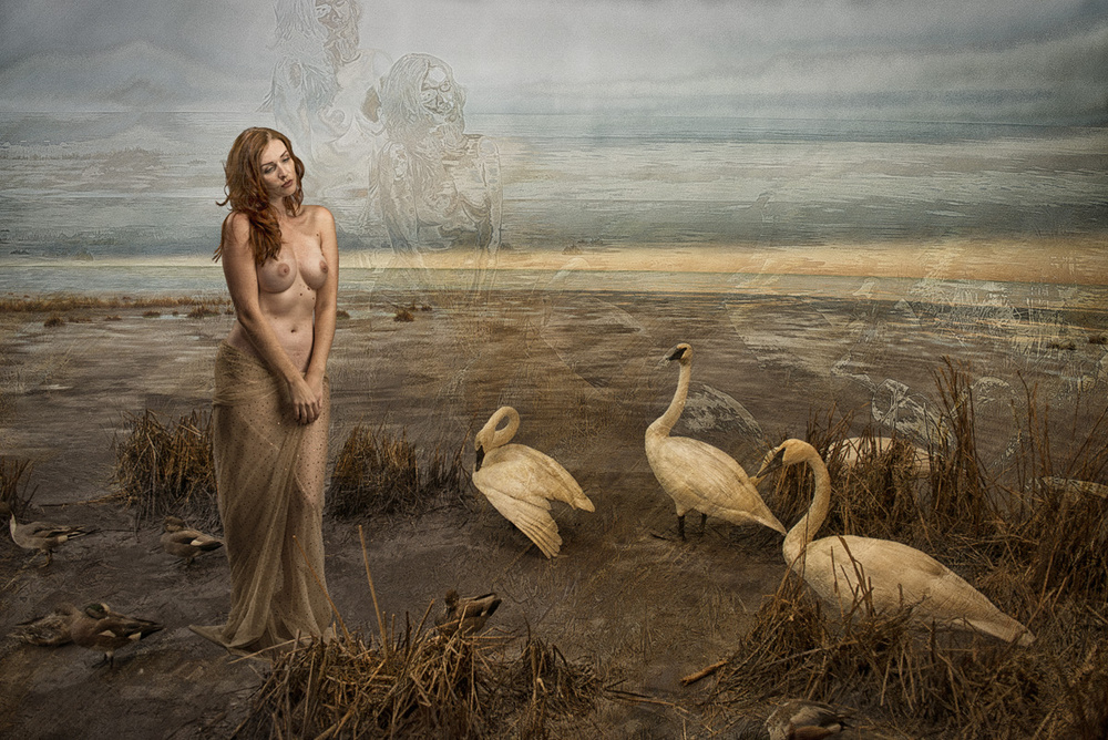 Leda in Search of the Swan à Tom Gore