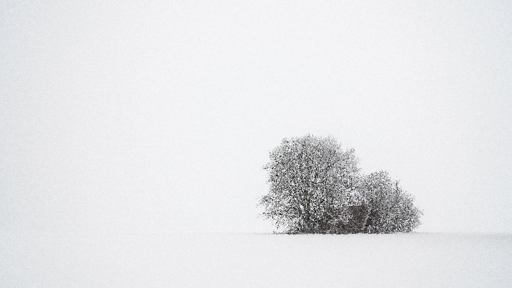 Winter silence à Tom Meier