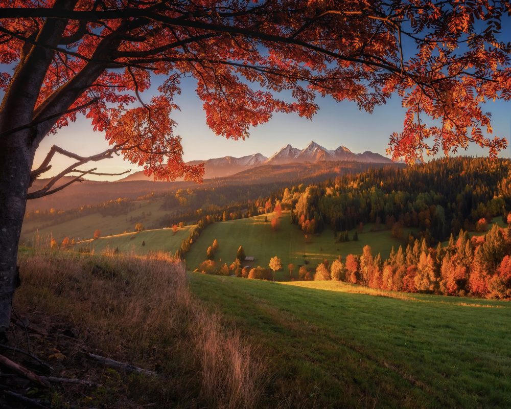 Autumn under Tatra Mountains à TomaszOryszczakPhotography