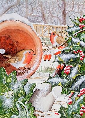 Christmas Robins (w/c) 