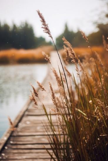 By The Lake