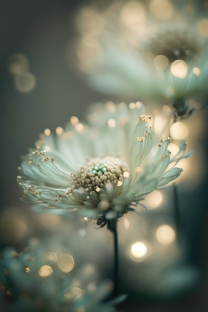 Mint Flower à Treechild
