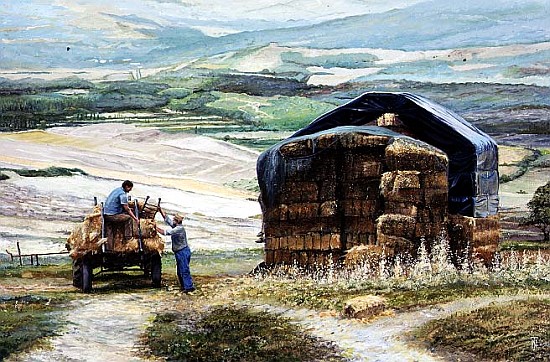 Haymaking, Volterra, Tuscany (oil on canvas)  à Trevor  Neal
