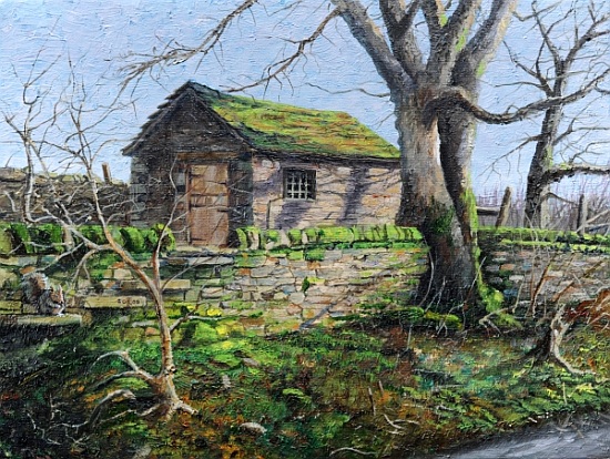 Stone Barn, Alport, Derbyshire à Trevor  Neal