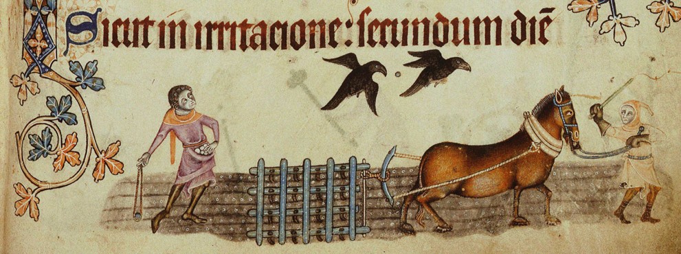 Peasants ploughing (From the Luttrell Psalter) à Artiste inconnu