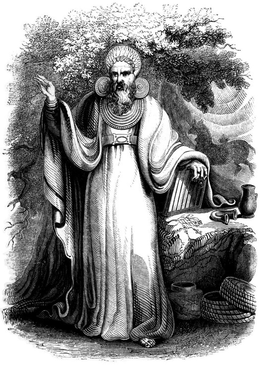 Arch-Druid in his full Judicial Costume (From the book "Old England: A Pictorial Museum") à Artiste inconnu