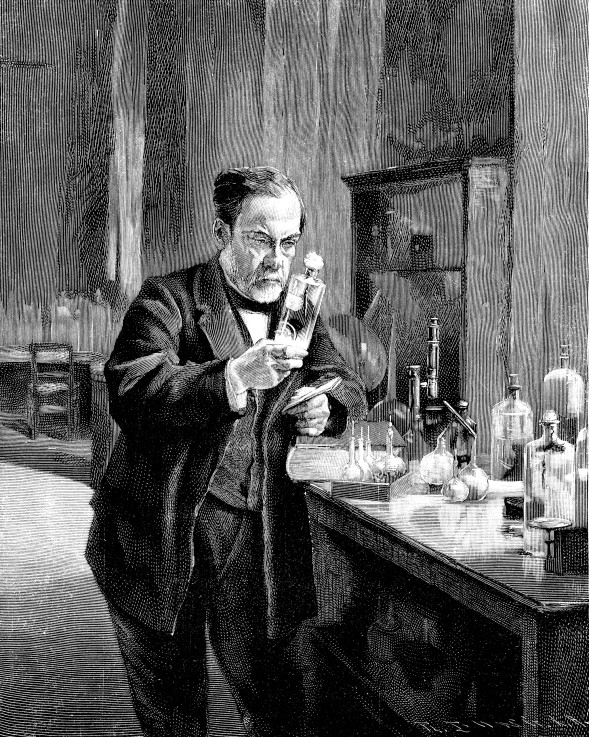 French chemist and microbiologist Louis Pasteur (1822–1895) à Artiste inconnu