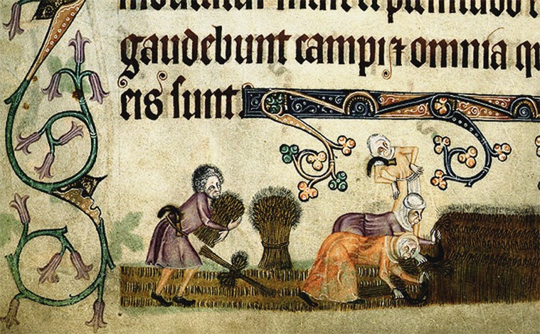 Reaping and binding sheaves (From the Luttrell Psalter) à Artiste inconnu