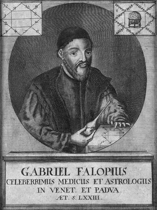 Portrait of Gabriele Falloppio (1523-1562) à Artiste inconnu