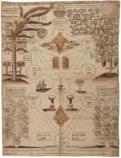 Arbor Cabalistica (Kabbalistic Tree)