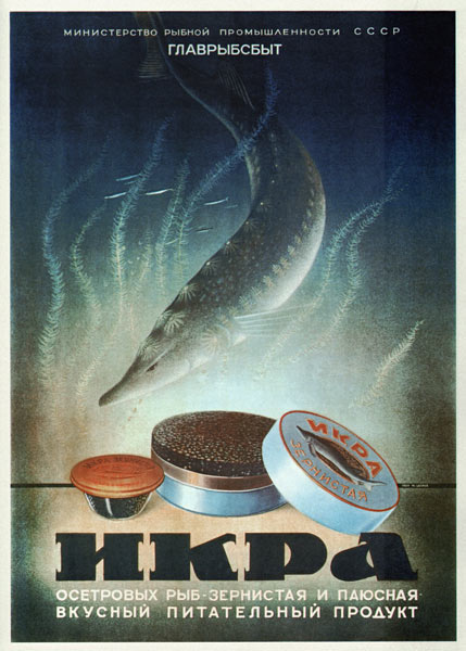 Advertising Poster for the Sturgeon caviar à Artiste inconnu