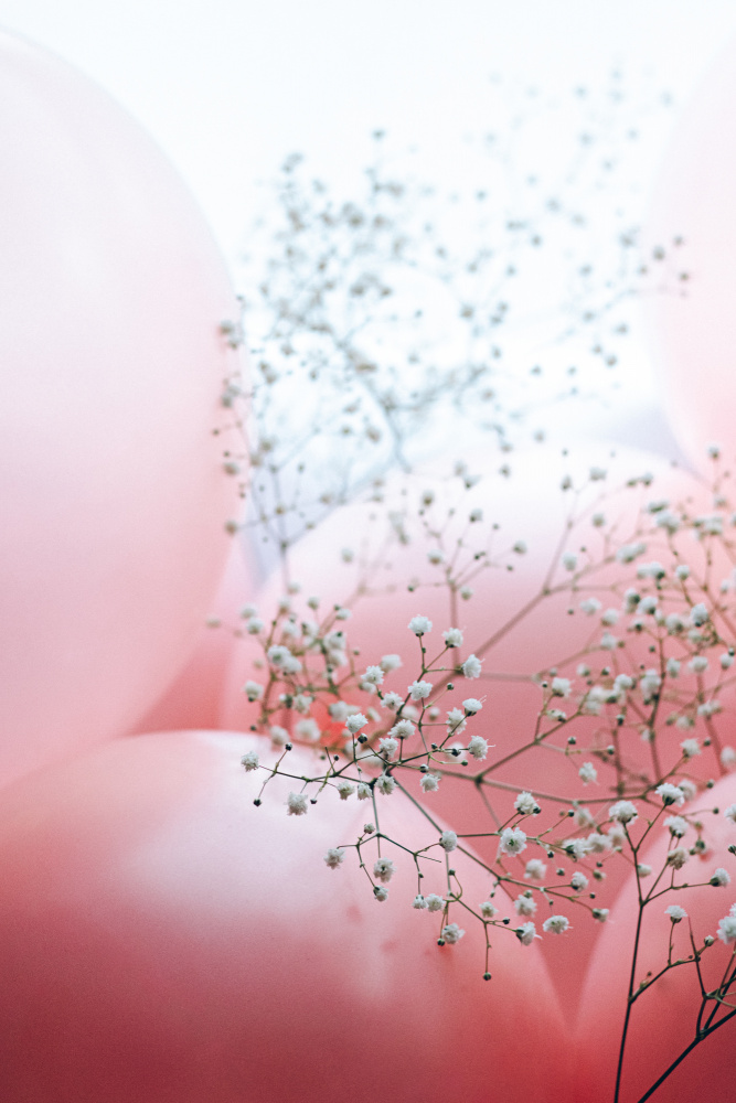 Blooms and Balloons - Moment like this à uplusmestudio