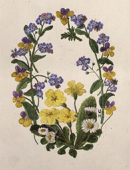Primroses, Forget-me-nots, Pansies and Daisies (w/c on paper)  à Ursula  Hodgson
