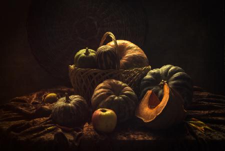 Still life with Many Pumpkins