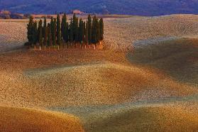 Toscana