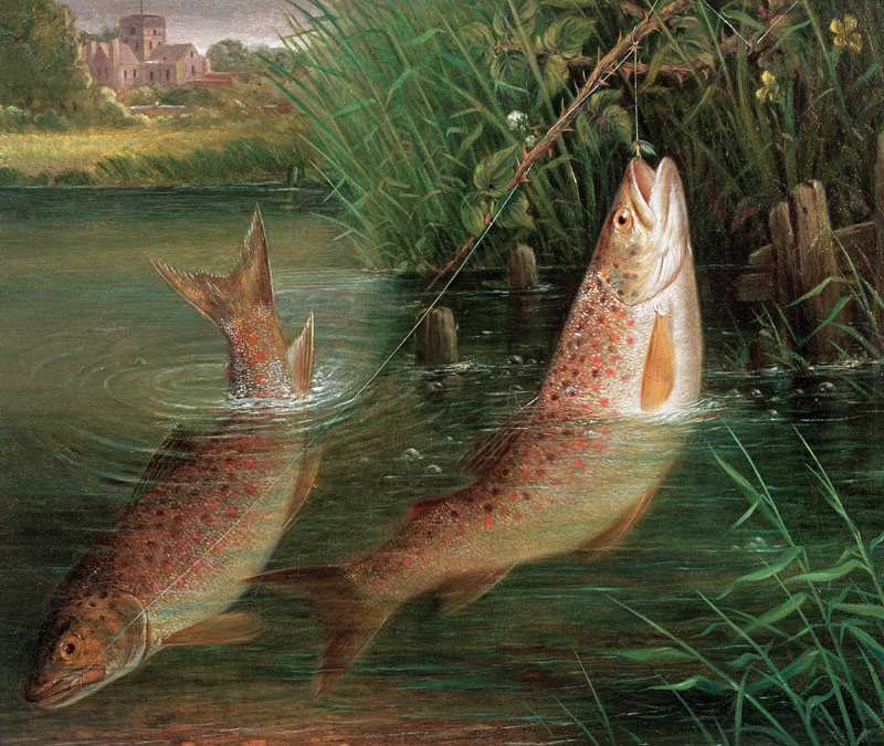 Trout at Winchester à Valentine Thomas Garland