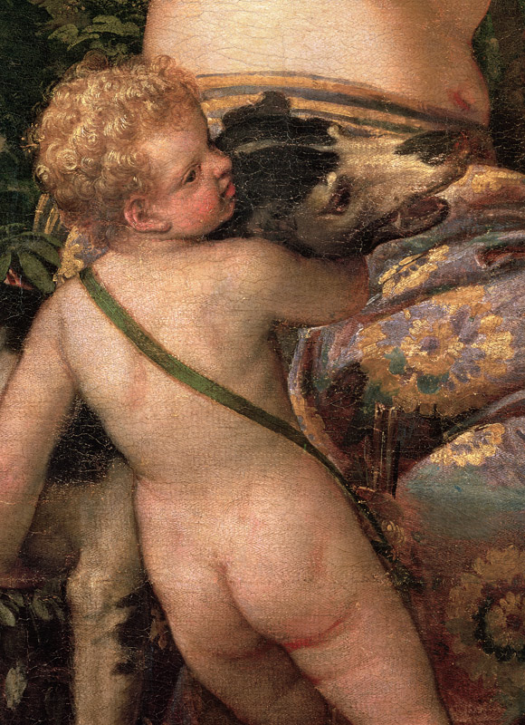 Cupid, detail from Venus and Adonis à Paolo Veronese (alias Paolo Caliari)