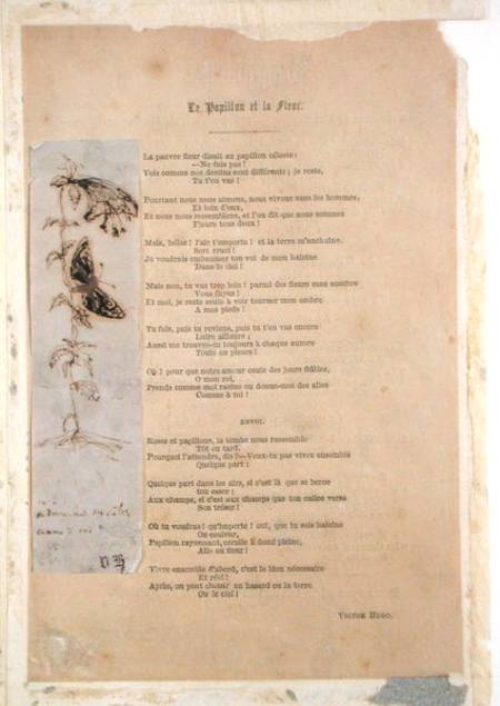 'Le Papillon et la Fleur', poem with an illustration of butterlies from 'Les Chants du Crepuscule' à Victor Hugo