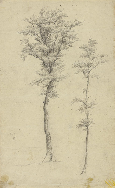 Two trees à Victor Müller