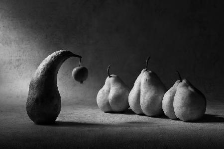 the Apple of discord