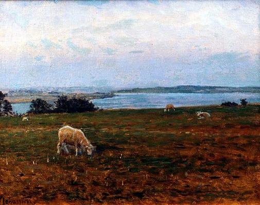 Sheep Grazing, Osterby, Skagen (oil on canvas) à Viggo Johansen