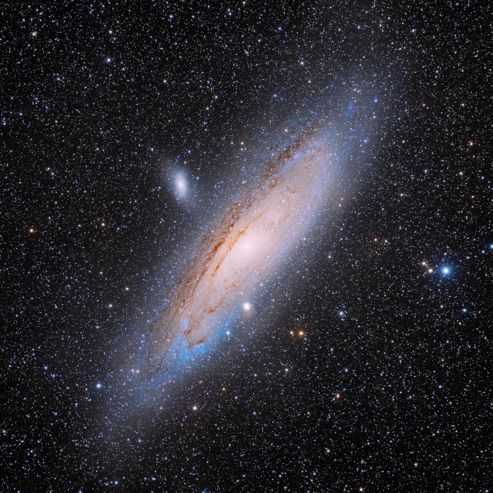 Andromeda à Vikas Chander